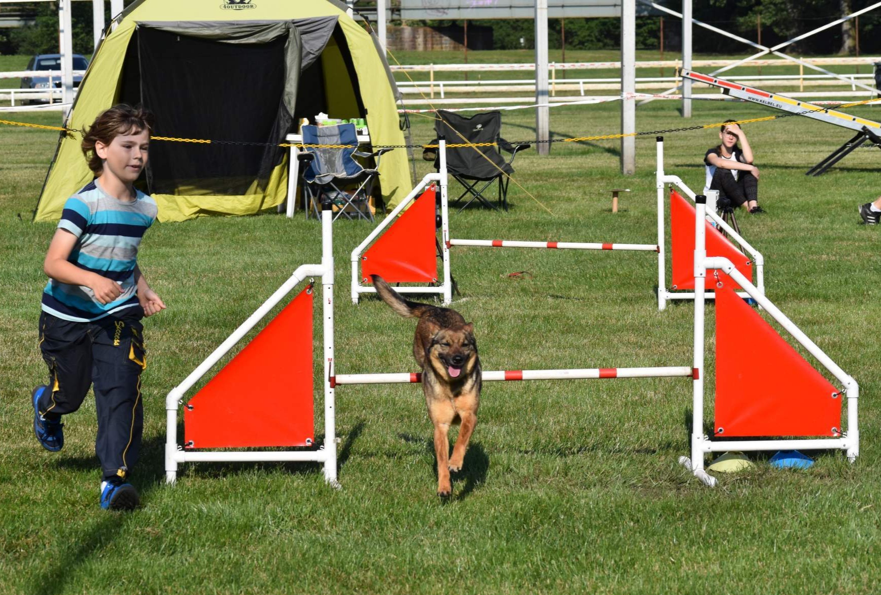 Šaronka učila syna závodit v agilitách 