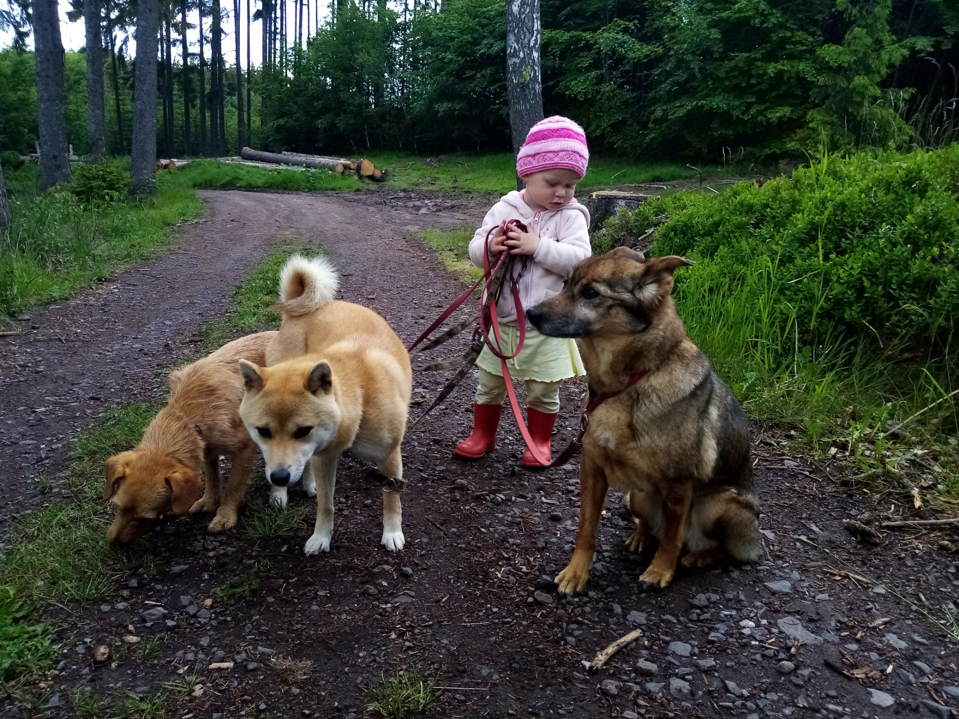 Terezka venčí naše čubinky 